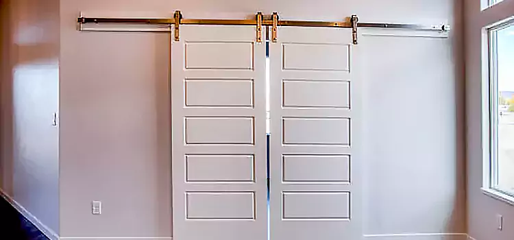 Glass Barn Door with Installation Hardware Kit Goshen