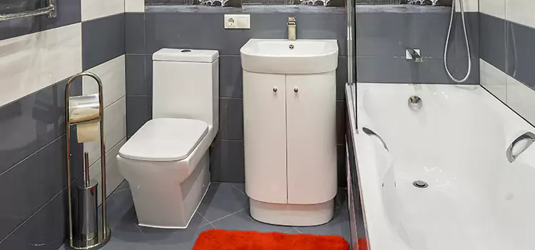 Hansgrohe Shaving Mirror Goshen